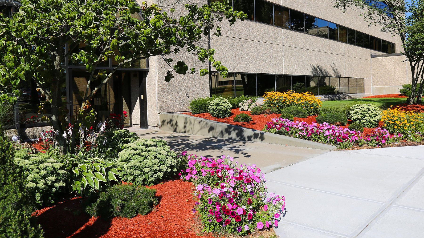 Landscaped entrance to the building with flowering beds along the walkway